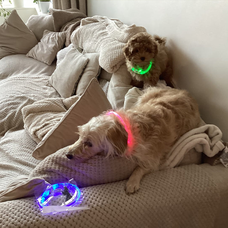 3-Mode LED Dog Collar - USB Rechargeable, Detachable & Glowing Pet Safety Necklace for Night