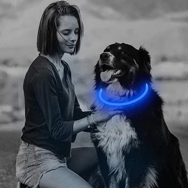 3-Mode LED Dog Collar - USB Rechargeable, Detachable & Glowing Pet Safety Necklace for Night